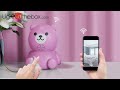 1080P Security IP Camera Bear Monitor Indoor Wireless baby Home Lovely shell replacement  8073775