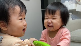 8개월차 쌍둥이 자매의 우당탕탕 신나는 일상 모음 | 8개월 아기 발달 | 이란성 쌍둥이 일상 | 쌍둥이 육아