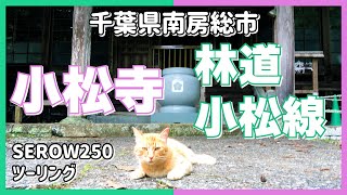 小松寺◆林道 小松線◆千葉県南房総市