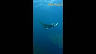 Maldives video, many beautiful places, enchanting atmosphere, the hotels here are very beautiful