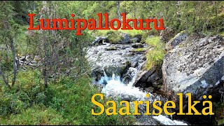 Erämaan laidalla Lapissa on Lumipallokuru. Inari saariselkä