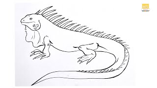 How to draw A Iguana II Iguana Drawing II part 01 II #artjanag