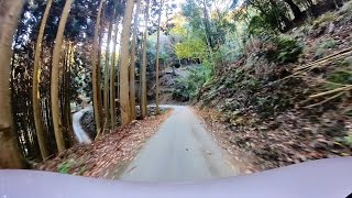 【4K ドライブ】酷道 208 向日善峰線 / 733分岐〜京都市方面へ 下り / Kyoto Japan Drive / insta 360 / 231214