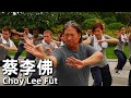 Choy Lee Fut (2011) 1080P Chinese Boxing is challenged, how young people react?