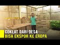 Olah Kakao Jadi Coklat Petani Dari Desa Bisa Ekspor Ke Berbagai Negara, Coklat Pahit Lebih Mahal