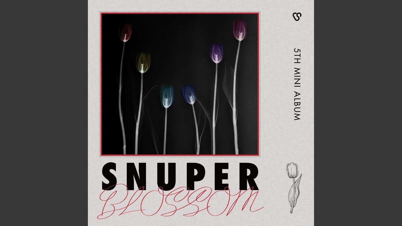 Tulips Youtube Music