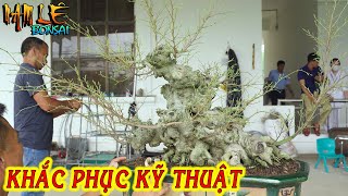 Nam Lê định hình sắp xếp bố cục giúp người em cốt sanh nhỏ rất quý | NamLe Bonsai