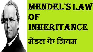 MENDEL'S LAW OF INHERITANCE  मेंडल के नियम