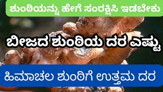 ಬೀಜದ ಶುಂಠಿಯ ದರ ಎಷ್ಟು???ಹಿಮಾಚಲ ಶುಂಠಿಗೆ ಉತ್ತಮ ದರ