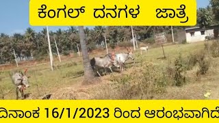 kengal cattle fair start in 16/1/2023