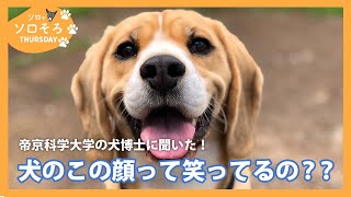 帝京科学大学の藪田先生に聞いた！犬の笑顔は、ほんとに笑ってるの？？