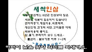 농작물\u0026카네이삼 나눔 프로젝트 - 울주군청소년가족봉사단 무궁화