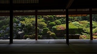 初夏京都2015　智積院