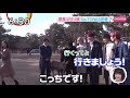 【sixtones】あつまれどうぶつと森