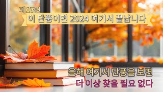 사진감상.한국의사계(제17편 단풍, 어디서 또 이런 단풍볼 수 있을까요.