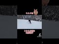 地形の使い方は人それぞれ snowboard スノーボード スノボ スノボー初心者 スノーボード好きな人と繋がりたい 雪 冬 ウィンタースポーツ スポーツ shorts