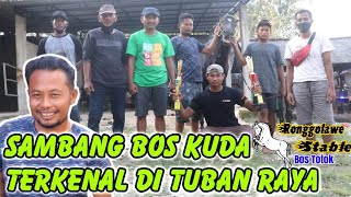 LEK DOKAR DOLAN KE 🔘BOS KUDA TERKENAL DI TUBAN BERSAMA LURAH SUGIO