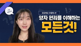 유끌림의 TR90 , 양자 쉽게 하는법