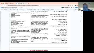 Torah Study 11/15/24