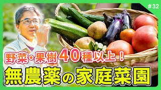 【60代田舎移住】野菜・果樹40種以上！家庭菜園を楽しむ田舎暮らし！