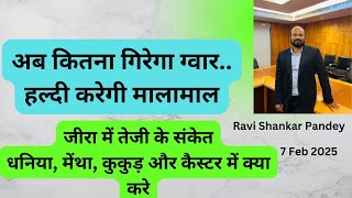 अब कितना गिरेगा ग्वार.हल्दी करेगी मालामाल/ Ravi Shanka Pandey