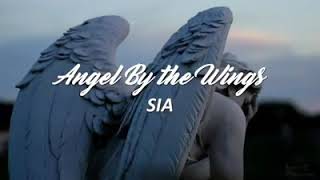 SIA - ANGEL BY THE WINGS~ (Subtítulado al Español)