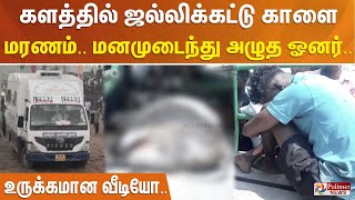 களத்தில் ஜல்லிக்கட்டு காளை மரணம்.. மனமுடைந்து அழுத ஓனர்.. உருக்கமான வீடியோ..