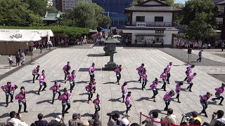 足立よさこい～彩～ @西新井大師よさこいフェスタ2018(境内奉納演舞) 2018-07-01T14:43