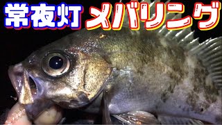 常夜灯下で狙うメバリング　Fishing rockfish