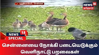 Chennai-யை நோக்கி படையெடுக்கும் வெளிநாட்டு பறவைகள் - ரம்மியமாக காட்சியளிக்கும் Puzhuthivakkam Lake