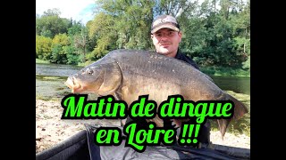 Un matin de folie en Loire !!!! (carpe de Loire)