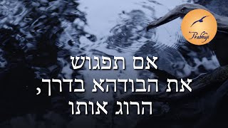 פרבהוג'י - אם תפגוש את הבודהא בדרך, הרוג אותו