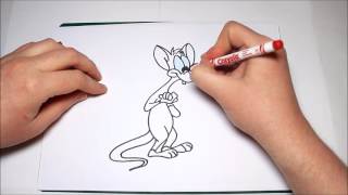 Easy How To Draw Pinky From Pinky And The Brain For Kids