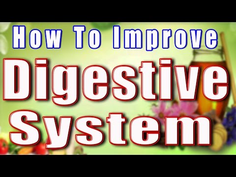 How to Improve digestive system II पाचन तंत्र को स्वस्थ बनाये II How to Improve digestive system II पाचन तंत्र को स्वस्थ बनाये II