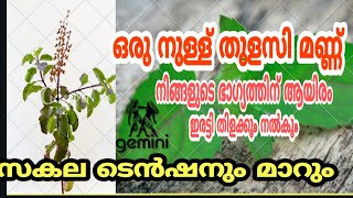 ഒരു നുള്ള് തുളസി മണ്ണ് നിങ്ങളുടെ ഭാഗ്യത്തിന് ആയിരം ഇരട്ടി തിളക്കം നല്കും