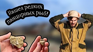 ОКАМЕНЕЛОСТИ САМЫХ НЕОБЫЧНЫХ РЫБ! Находки древнейших ископаемых позвоночных в нашем регионе!