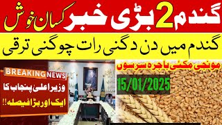 2025 گندم کی امدادی قیمت فائنل اعلان/munji rate  Makki sarson new