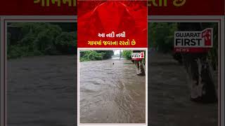 Navsari : આ નદી નથી ગામમાં જવાના રસ્તો છે | Gujarat First