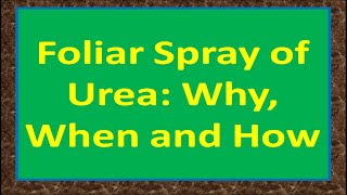 Foliar Spray of Urea: Why, When and How