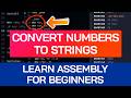 Convert Integers to Strings in Assembly | Beginner Tutorial for x86-64 | itoa() Assembly Programming