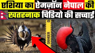 एशिया का ऐमज़ॉन नेपाल की खतरनाक चिडियो की सच्चाई | Special bird in Nepal | weird birds FACT