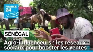 Sénégal : les agro-influenceurs gagnent du terrain • FRANCE 24