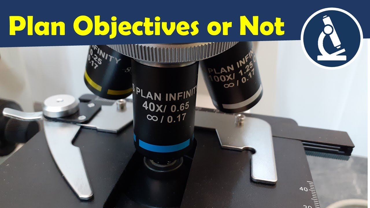 🔬 The advantages and disadvantages of Plan Objectives | Amateur Microscopy
