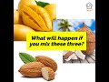 thinaddictives mango coconut almond thins 30 count