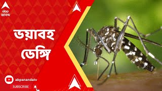 Dengue: ডেঙ্গিতে আক্রান্ত হয়ে ফের মৃত্যু হল কলকাতায়