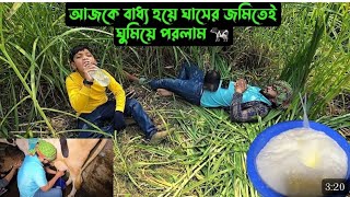 আজকে বাধ্য হয়ে ঘাসের জমিতেই ঘুমিয়ে পরলাম 🐄720p