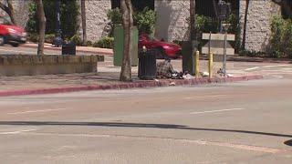 Number of homeless has dropped in San Diego per 2025 Point-in-Time Count
