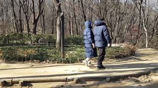 Traveling to Cheongdam Park (Seoul)- part 2