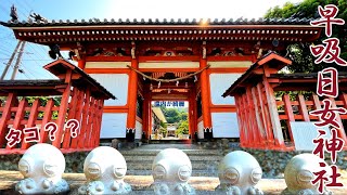 【大分旅行】早吸日女(はやすひめ)神社 歴史と漁業の町\