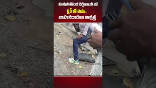 హనుమకొండ రెడ్డికాలనీ లో బైక్ లో పాము, వాహనదారులు జాగ్రత్త #politicalvibes